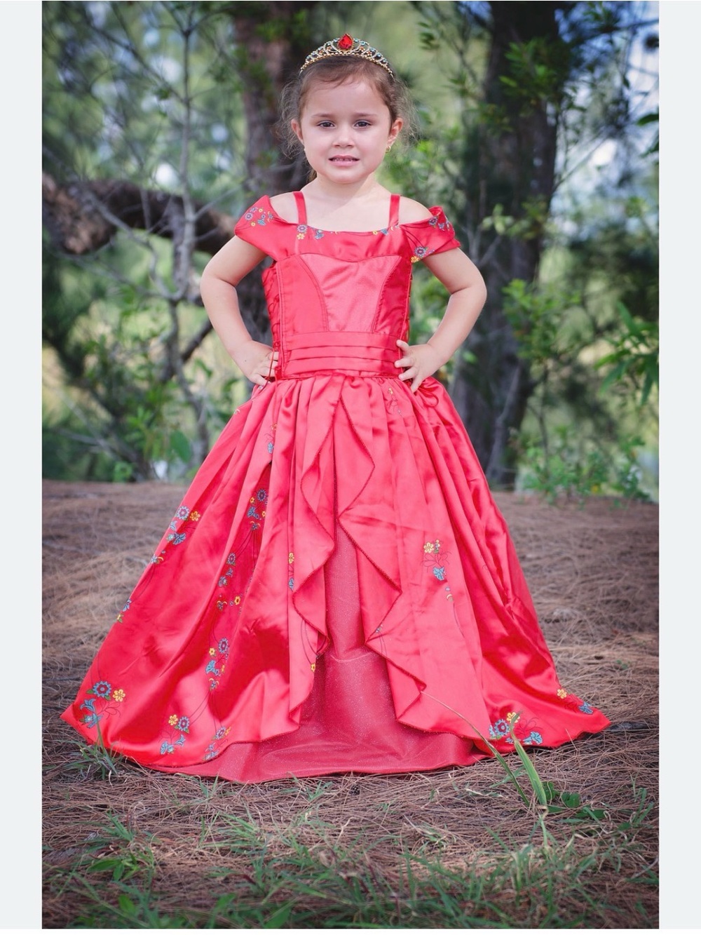 Disney Red Satin Princess Dress with Floral Embroidery